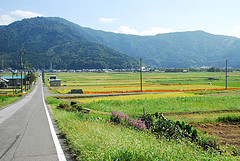 この道わが旅:滋賀湖北～福井敦賀