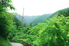 この道わが旅:秋川渓谷～払沢の滝～吉祥寺滝