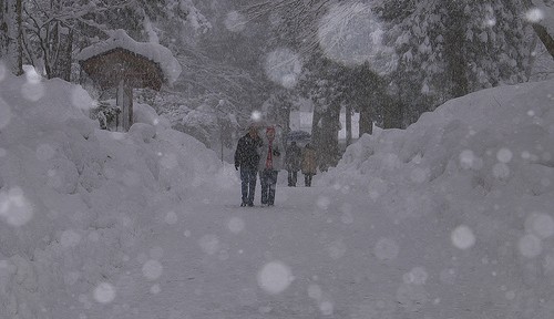 雪深い幽玄の世界 永平寺と地の果て 東尋坊を訪れた | WordBench 写真部